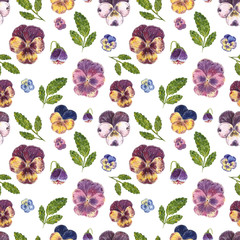 Seamless pattern, made of purple viola flowers, hand drawn botanical illustration, isolated on white.