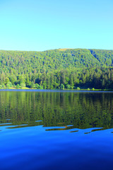 Fototapeta premium lac dans la foret des vosges en france