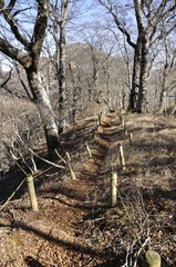 晩秋の石棚山稜の道