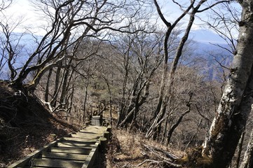 Fototapeta premium 晩秋の石棚山稜に富士山