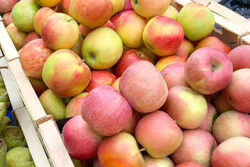 Pile of apples in a wooden boxes (Close up)