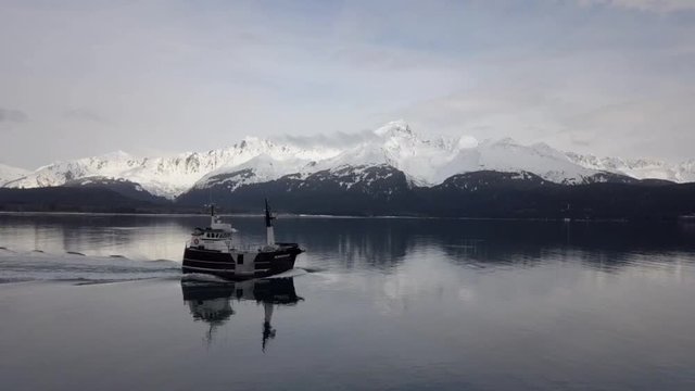 Commercial halibut fishing boat traveling Resurrection bay and the port and harbor of Seward Alaska 