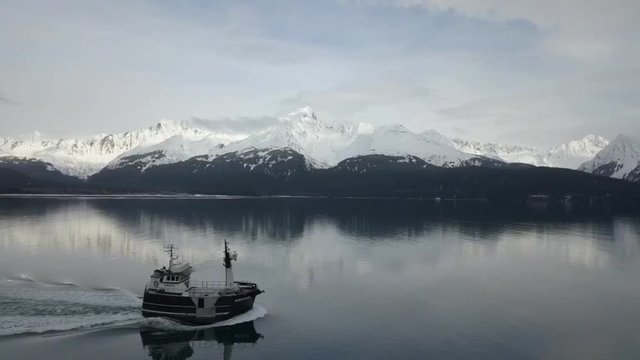 Commercial halibut fishing boat traveling Resurrection bay and the port and harbor of Seward Alaska 