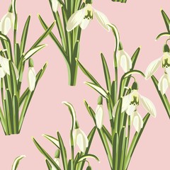 Seamless pattern with white snowdrop flowers with green leaves bouquet  on a pink background.