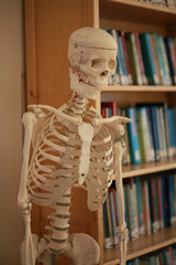 skeleton in the room