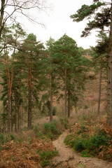 Obraz premium Devils Punchbowl