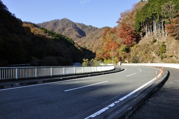西丹沢の道