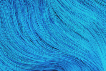 Close up blue unusual hair. Textures, background concept
