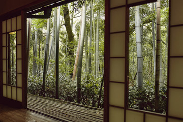 View of lush, green bamboo forest from inside a traditional Japanese Tea room in Arashiyama, Japan