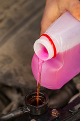Service of cars. Pouring antifreeze into the engine.