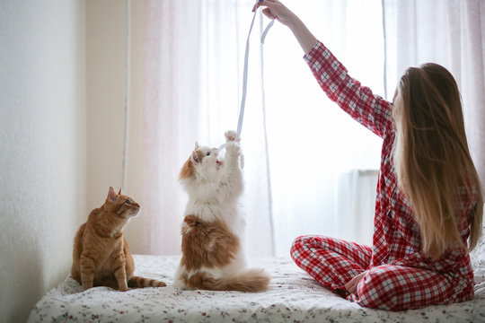 beautiful girl in pajamas with long hair plays with two cats