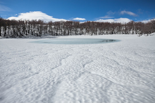 Laguna de los Chanchos, Refugio Natacion