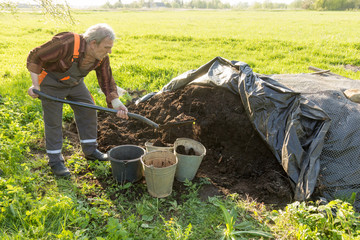 organic fertilizer in the garden