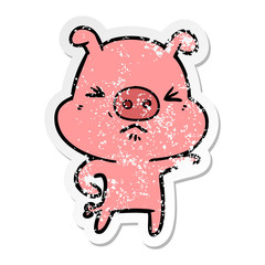 distressed sticker of a cartoon angry pig