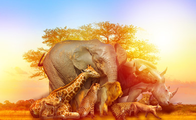 Big Five and wild animals collage with african tree at sunrise in Serengeti wildlife area,...