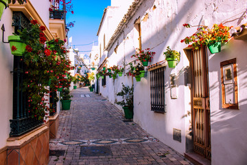 Fototapeta na wymiar Street. The picturesque street of the city of Estepona. Costa del Sol, Andalusia, Spain. Picture taken – 12 March 2019.