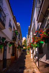 Street. The picturesque street of the city of Estepona. Costa del Sol, Andalusia, Spain. Picture taken – 12 March 2019.