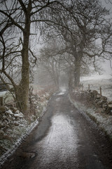 English country lane in winter