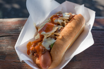 Close up of hot dog with ketchup and onion