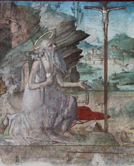 San Girolamo penitente (particolare); affresco nella chiesa di "San Cristo" a Brescia