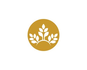 Wheat vector icon illustration