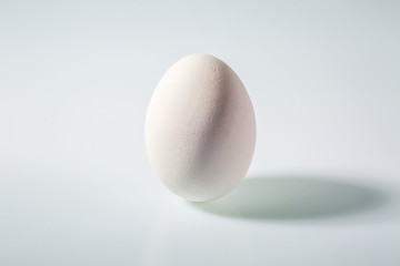 Close up view of white chicken egg isolated. Food backgrounds. Healthy eating concept.