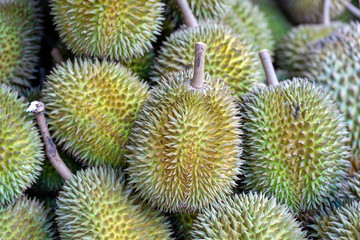 Durian fruit in the local market, Bali, Indonesia. Closeup