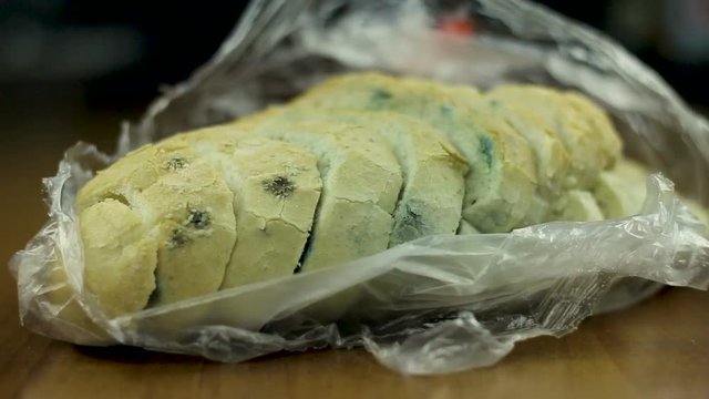 molded bread on the kitchen table