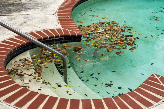 Dirty pool sits unattended covered in leaves