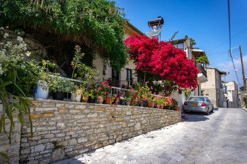 Beautiful street in a Cypriot village