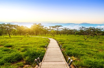 Fototapeta na wymiar Beautiful landscape of Nature Trail loops through a forest with Mountain in morning time at thailand