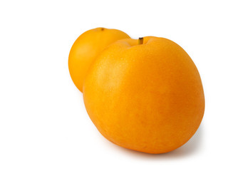  snow pear fruit on white background.(This has clipping path)