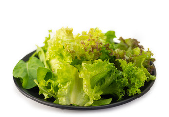 Fresh vegetable salad , healthy food.