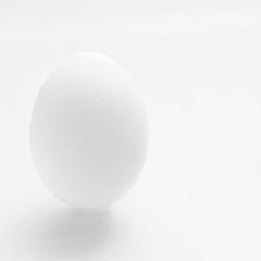huevo blanco