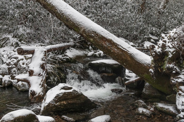 Cascading Stream in the Mountains with Moss Covered boulders