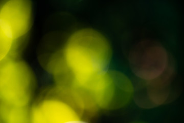 green blurred bokeh background