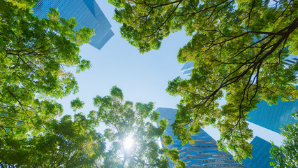 perspective exterior pattern blue glass wall modern buildings with green tree leaves