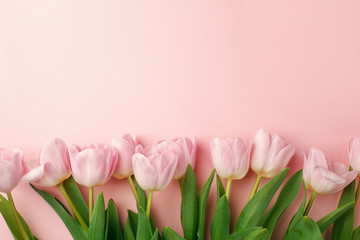 Pastel pink tulip flowers bouquet on pink background. Flat lay, top view. Minimal floral flatlay concept