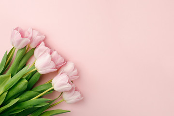 Pastel pink tulip flowers bouquet on pink background. Flat lay, top view. Minimal floral flatlay concept