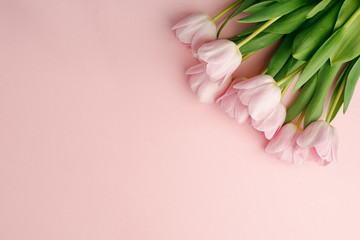 Pastel pink tulip flowers bouquet on pink background. Flat lay, top view. Minimal floral flatlay concept