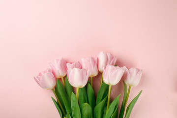Pastel pink tulip flowers bouquet on pink background. Flat lay, top view. Minimal floral flatlay concept