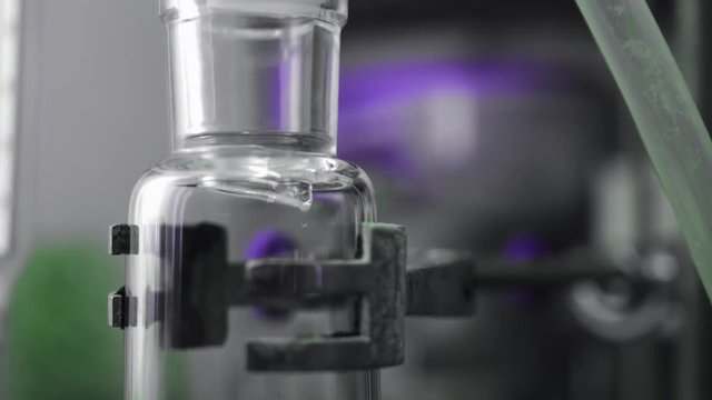 Chemistry laboratory processes. Chemical reaction, solution in tube or flask. Mixing and homogenization process in lab experiment. Medical or pharmacy industry. Scientific test, microbiology research.