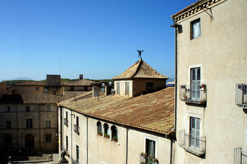 Fototapeta na wymiar Tiled roofs of the old town.Girona.Catalonia.