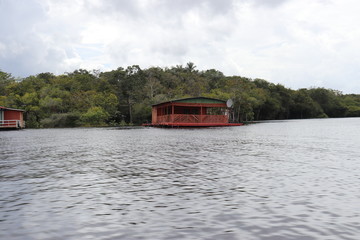 florest Amazonic Brazil