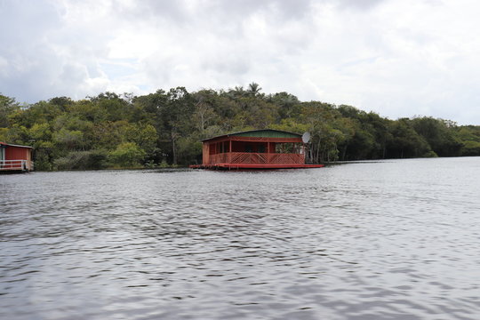 florest Amazonic Brazil