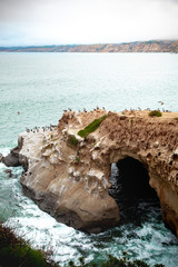 la jolla cliffs in the morning 
