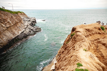 la jolla cliffs in the morning 