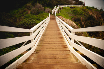 wooden walk way