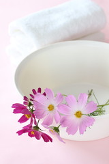Obraz na płótnie Canvas コスモスの花とタオルと洗面器