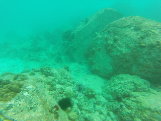 Naklejka na ściany i meble snorkeling seychelles